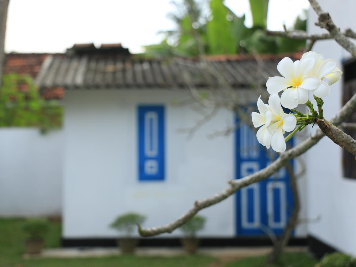 Hotel Blooming Polhena Extérieur photo